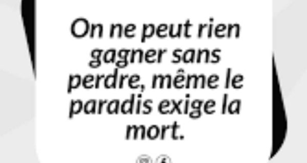 WhatsApp Image 2025-08-18 à 21.48.45_db391cab